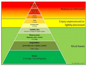 Pyramid of Integrated Nutrition (borrowed by CanFitPro)
