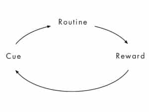 Charles' Duhigg's Habit Loop
