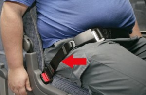 seat belt extender